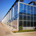 agricultural multi-span vegetables greenhouse